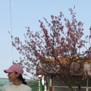 나이키 클럽 언스트럭처드 퓨추라 워시 캡 FB5368-699 후기