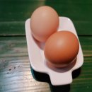 카페써니 이미지