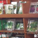 기린종묘사 네이버블로그