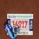 영남사물놀이 | 2026 영남일보 국제 하프마라톤 10km 후기 - 인생 두번째 마라톤