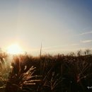 보오구 | ★서울억새축제,하늘공원 억새풀축제 일정&노을&야간개방&맹꽁이전기차(요금,이용방법)&가는법,가을에는...