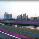 청양군백세공원 이미지