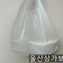 무거본뼈 이미지