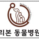 리본 동물병원 이미지