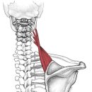 우리동네운동박사 이미지