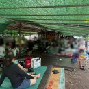 현대농원 | 서울 근교 계곡, 현대농원 깨끗한 물과 가성비 좋은 평상