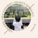 겨울 실내체험 거북섬 아쿠아펫랜드 어반네이처 밀레에듀파크