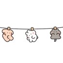 씨엘로펜션3