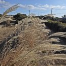 제주 올레길 14코스 | 제주올레길 14코스 트레킹 후기｜완주 후 저지오름 백패킹까지, 쉽지 않았지만 기억에 남은 하루