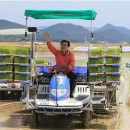 정미 축산 이미지