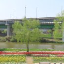 연현어린이공원 이미지