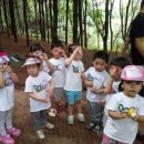 텀블랜드 이미지