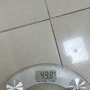 라라약국 | 명동라라의원 다이어트약 내돈내산 솔직 후기 (가격 부작용 주의사항 등) / 다이어트약 성지