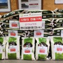 엠테크주 이미지