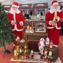 화순고인돌전통시장(읍사무소) | 🎅 [화순] 낮에는 퍼레이드, 밤에는 야시장! 2025 미리미리 크리스마스 완벽 후기 💖