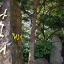 다소니 전통찻집 이미지