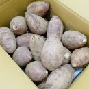 주식회사 샘터