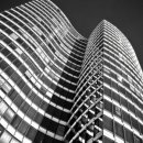 에스에스스포츠 이미지