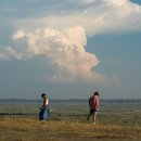 올앤굿즈 이미지