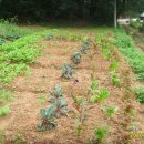 영곤농장 이미지