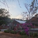 리드커피팩토리 | 평택 캠핑장 선택 고민? 평택 낭만팩토리 vs 주변 캠핑장 비교