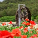 물레방아 이미지