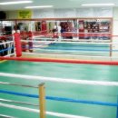 원찬희 복싱클럽 이미지