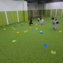 다솜 유치원 | 다솜어린이집·해림유치원 생애 첫 축구파트너, 솔뫼축구센터 강서염창점 신규모집