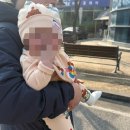 숲사랑(산불방지)홍보관 | 아이와 함께 가기 좋은 온빛포레스트