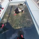 장가계 | 2월 설연휴 (춘절) 장가계 후기 마지막