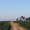 김용주농장 이미지