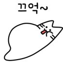 유에이치 이미지