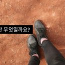 송이캣 이미지