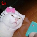 와써 이미지