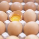 (주)케일 농업회사법인 이미지