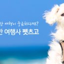 댕토피아 이미지