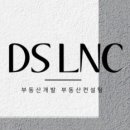 디에스엘솔루션