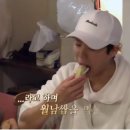 도산민박 이미지