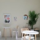 중마애견 이미지