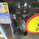 태흥산업 | 나의 노스텔지아는 어디에