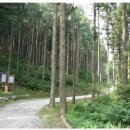 황룡강 주유소 이미지