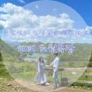 토담한우농장 | 춘천 :: 해피초원목장 :: 한국의 스위스에서 인생샷 찍기 🏞🏞🏞