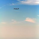 아모리노 이미지