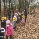 석성숲 유치원 이미지