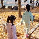 예쁨씨미니김밥