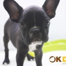 남양별내3 이미지