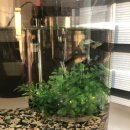 애일한의원 이미지