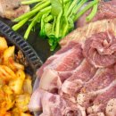 사파동279 이미지