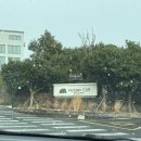 네이쳐 | 제주 히든 클리프 호텔&amp;네이쳐 숙박 후기 | 인피니티 풀 있는 중문 5성급 호텔