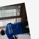 평화정비 이미지